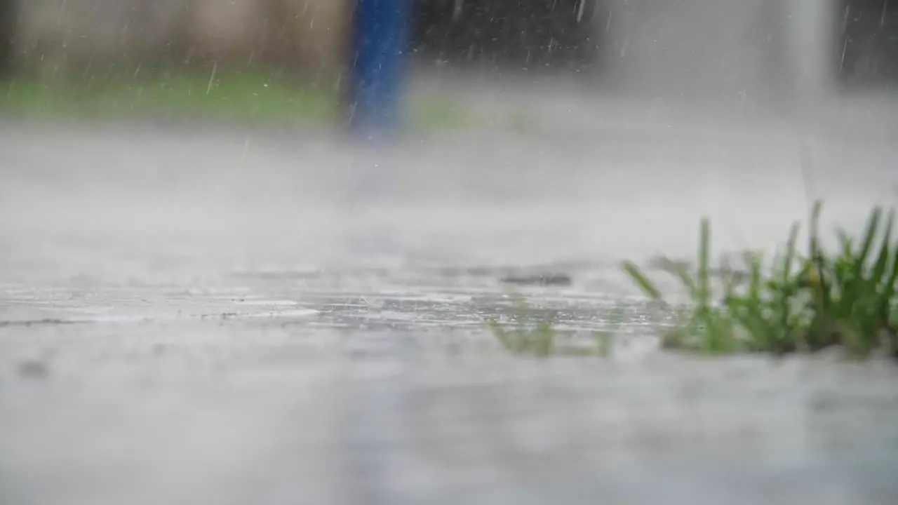 Rain falling on a small patch of grass and plants in a urban setting Slowmotion