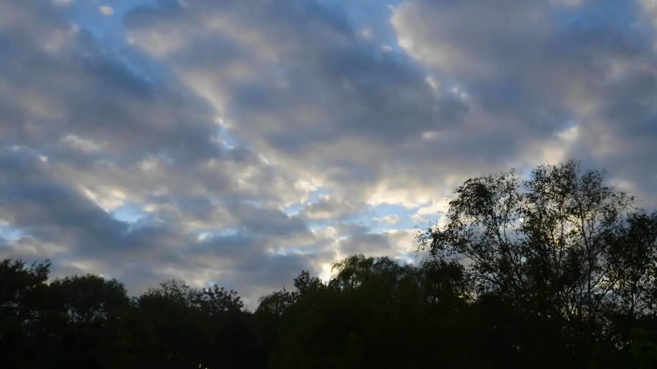 Dutch Sky