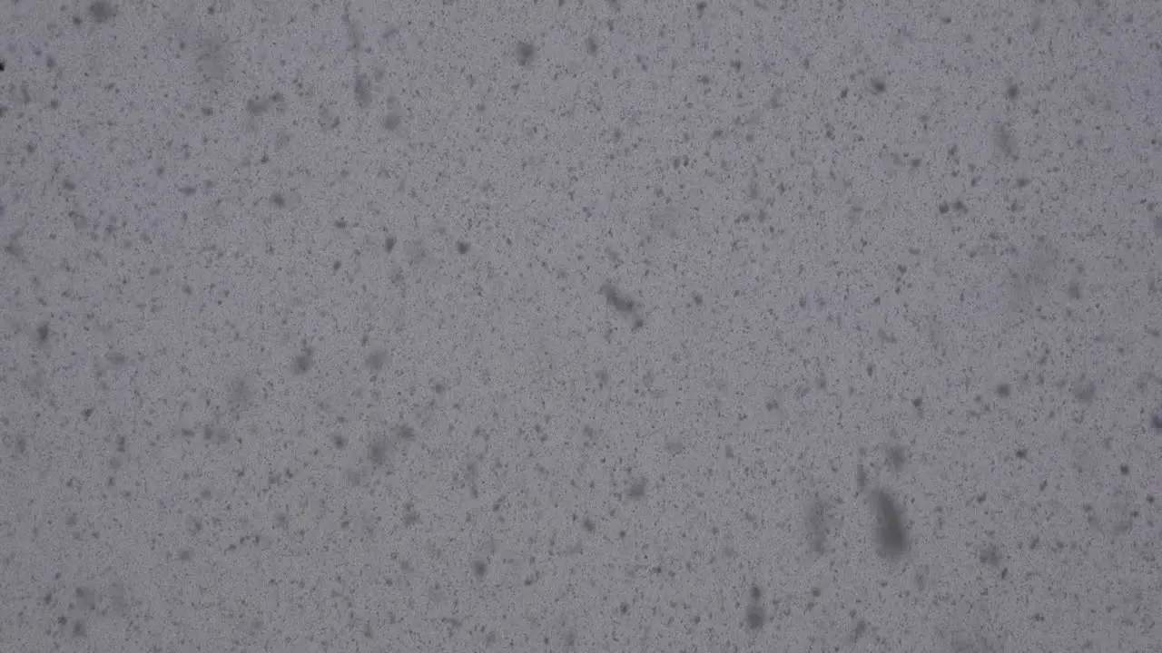 Snow Falling In Large Flakes