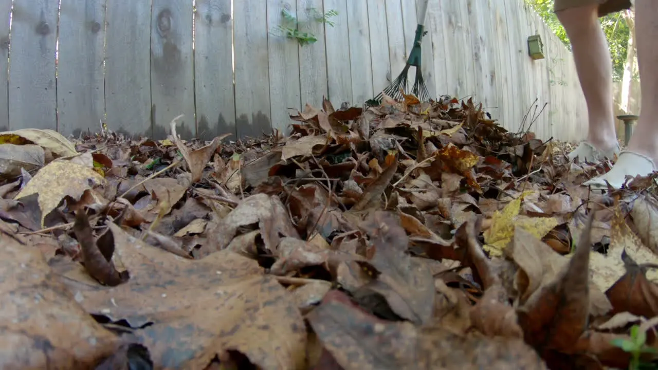 ground level shot of raking leaves inside wooden fence