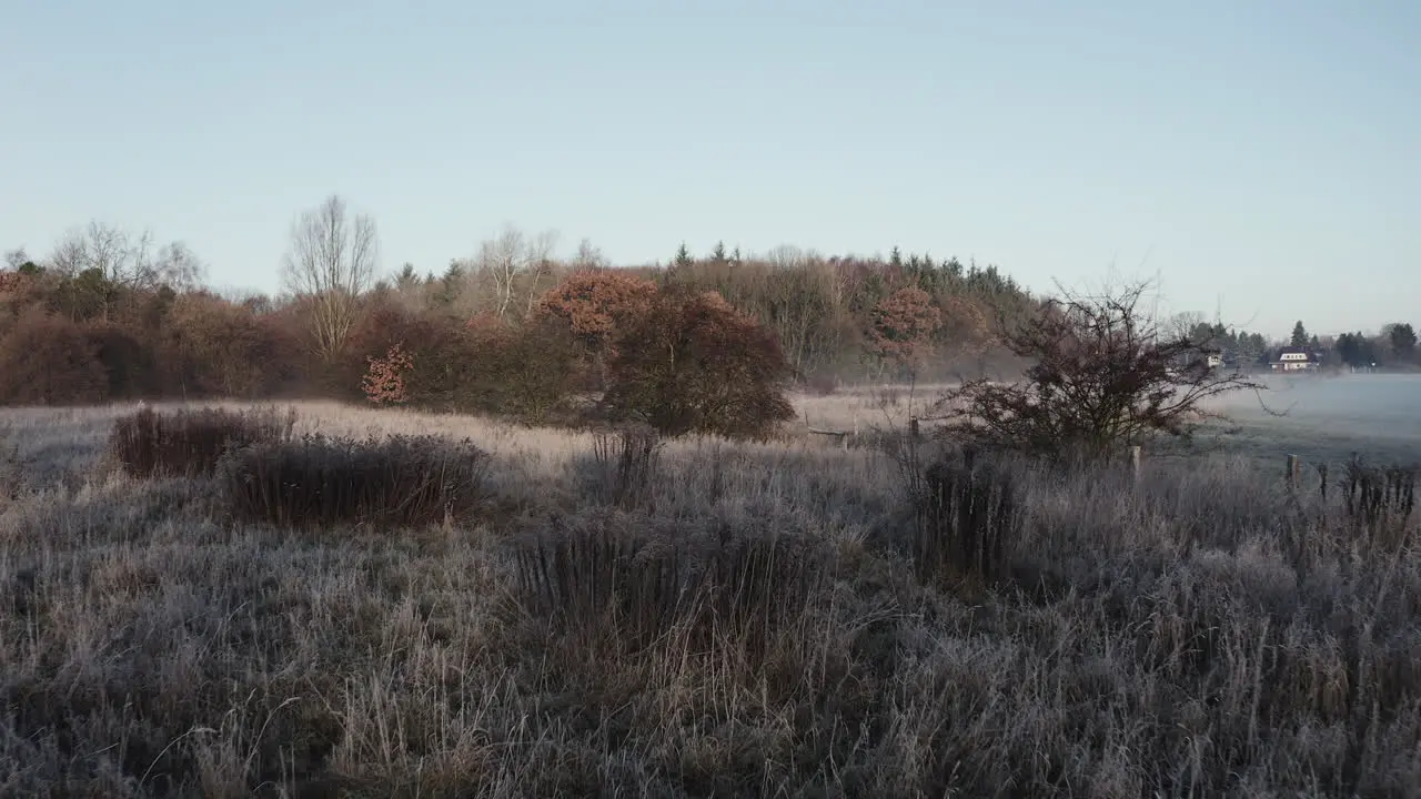 early morning winter landscape tracking shot over frost-covered bushes very romantic