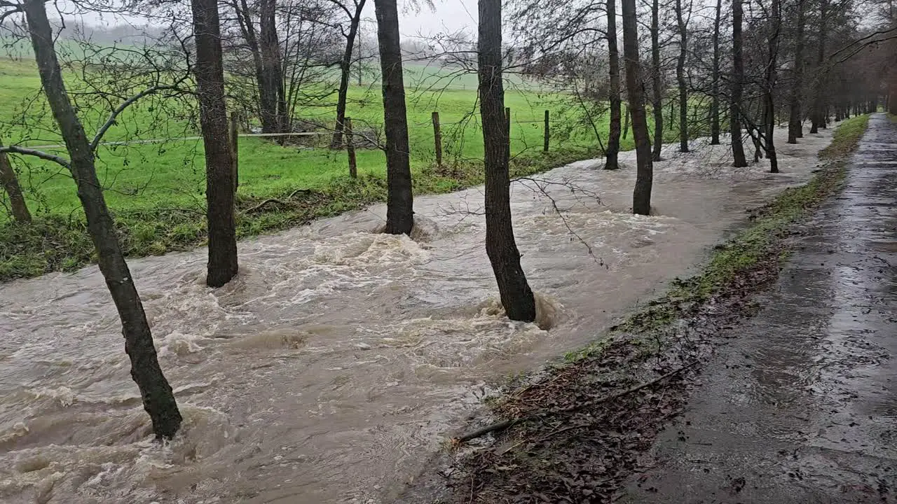 Elemental force of water A raging stream in turmoil