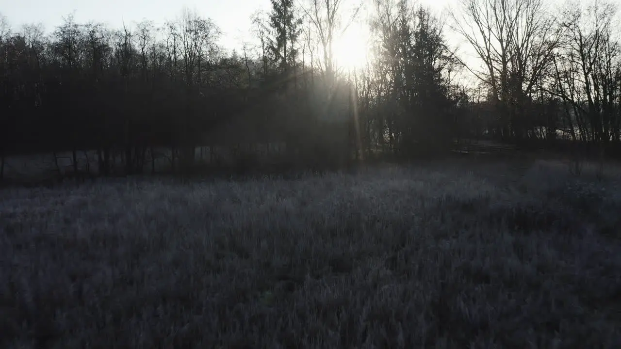 early morning winter landscape tracking shot over frost-covered bushes backwards out of the dark ray beams and backlight pathway very romantic