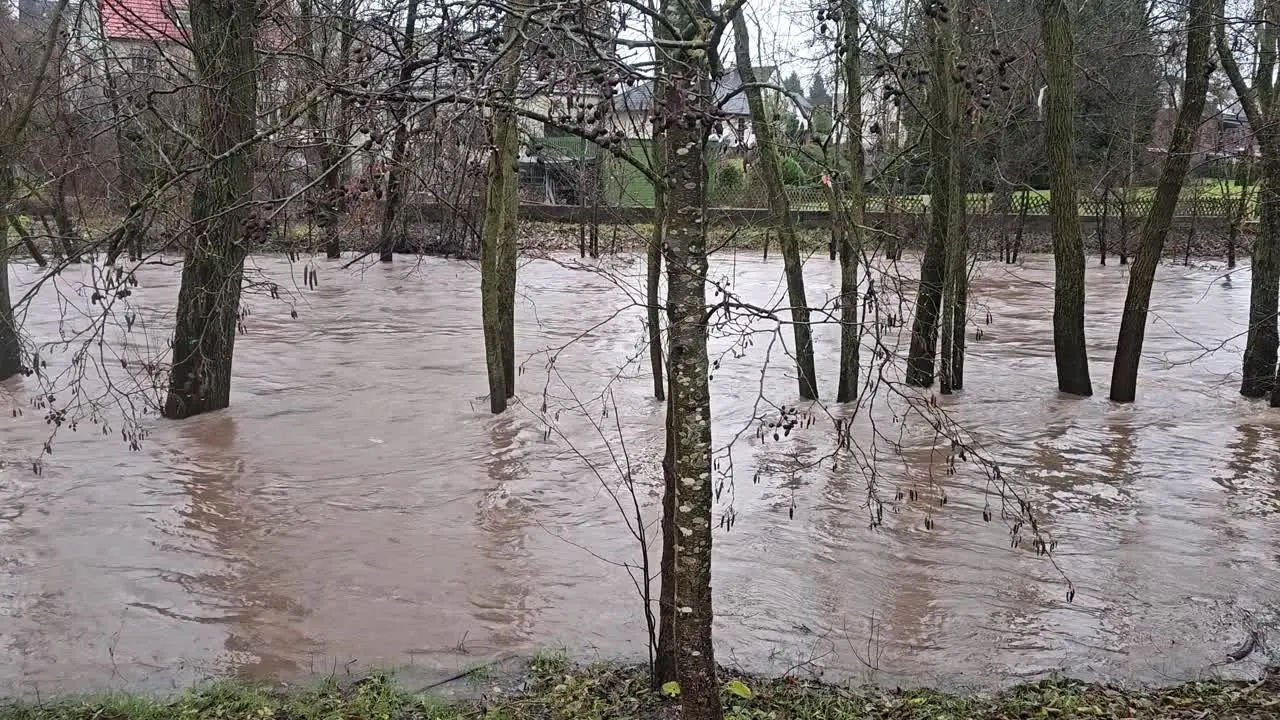 A wild stream after a heavy rain shower in Sauerland