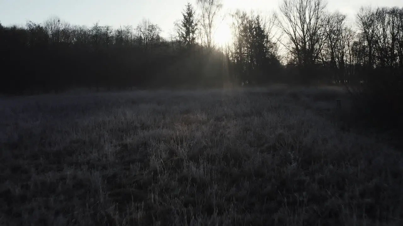 early morning winter landscape tracking shot over frost-covered bushes into the dark ray beams and backlight very romantic