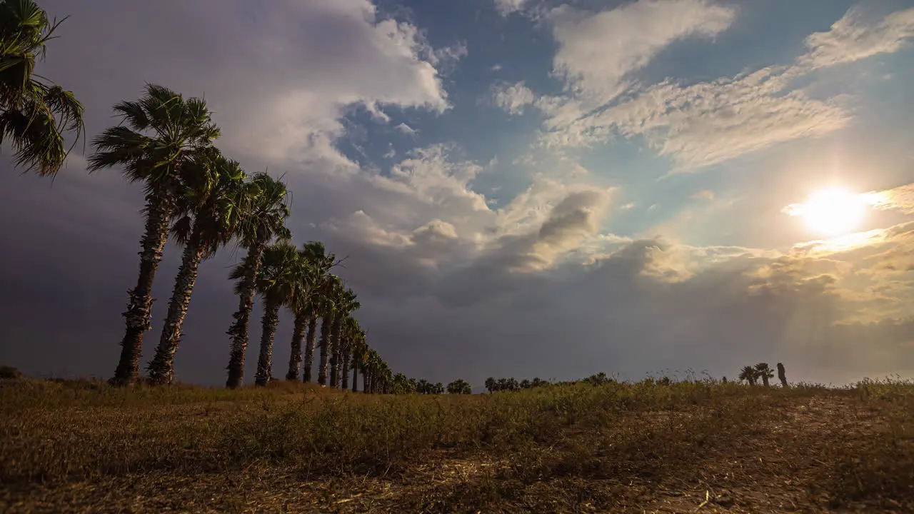 Time-lapse video of clouds drifting away in the sky above with the sun flares touching the grounds and trees shaking with air summer mountain landscape