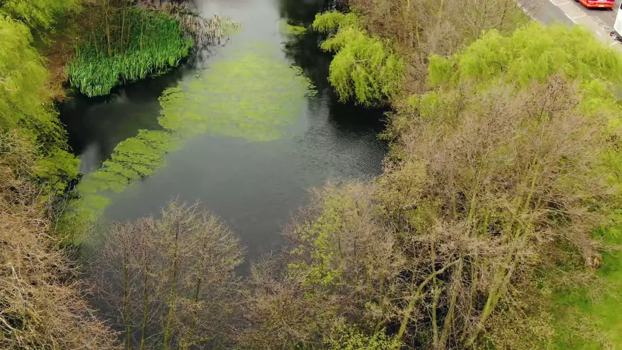 Beautiful Top view of Pond in London