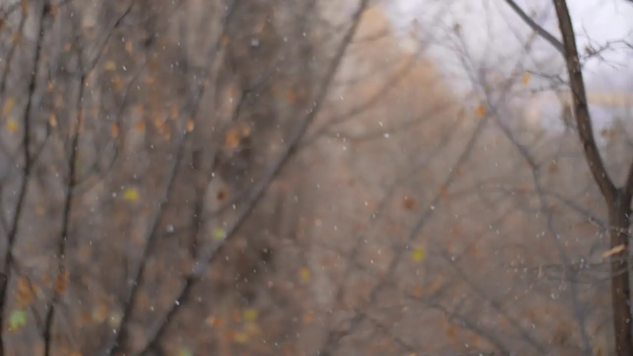 First snowfall in late autumn