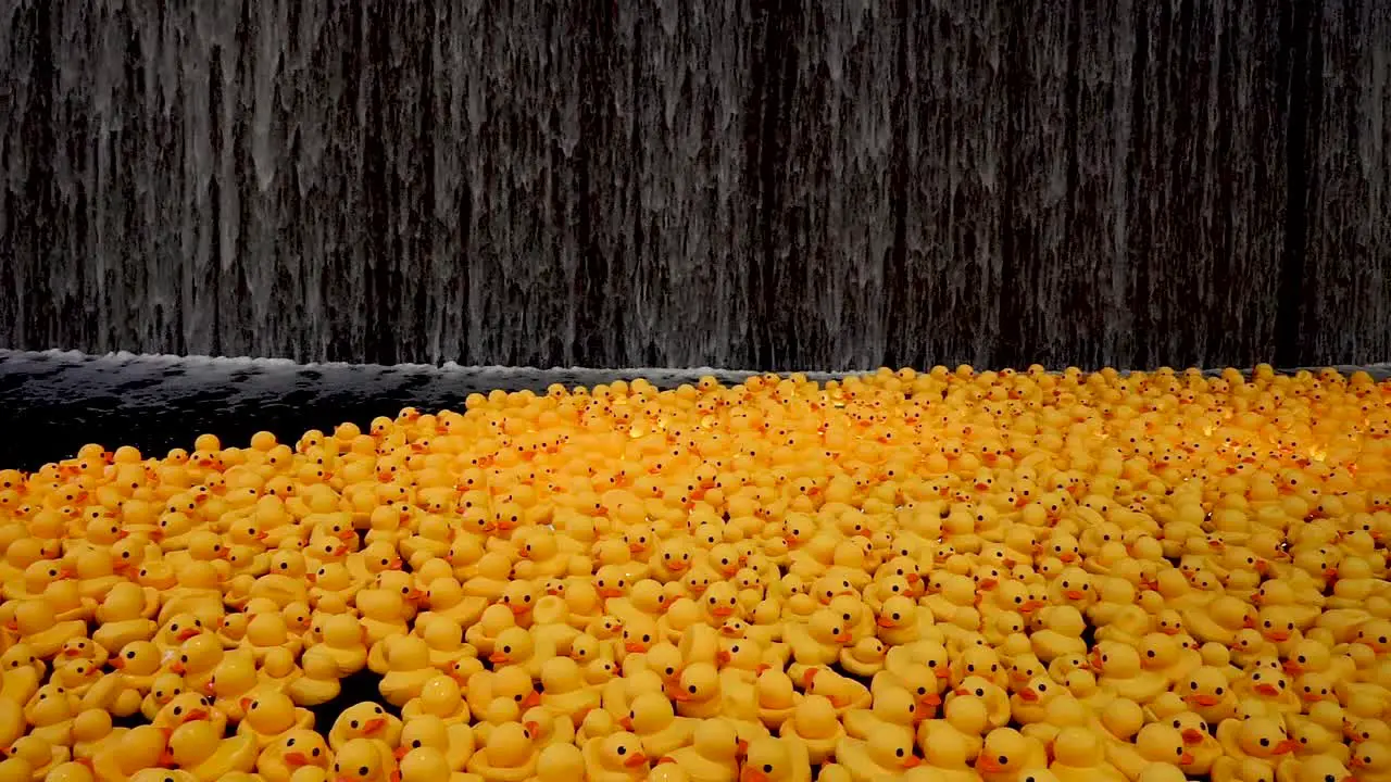 A slow motion waterfall with a lake filled with duck toys