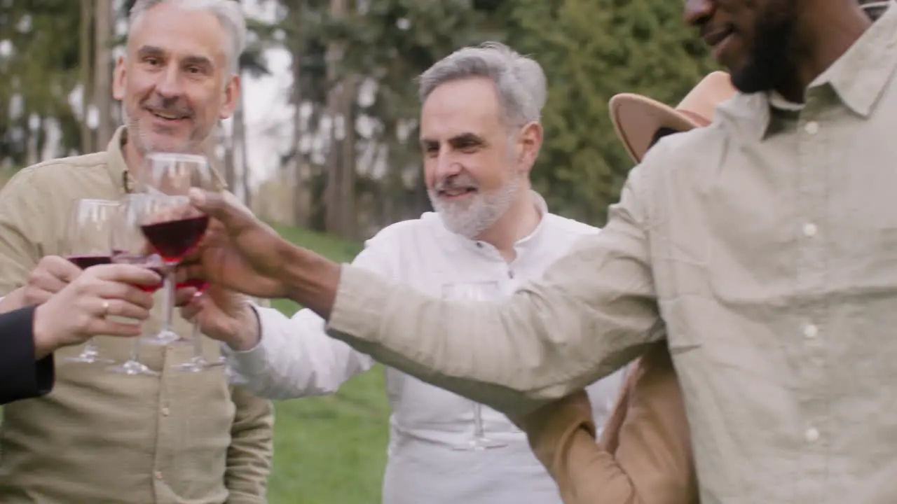 Close Up View Of A Group Of Middle Aged Friends Stading In The Park And Toasting With Wine During An Outdoor Party