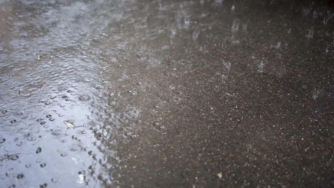 Raindrops hitting wet asphalt surface creating ripples and splashes close-up daylight