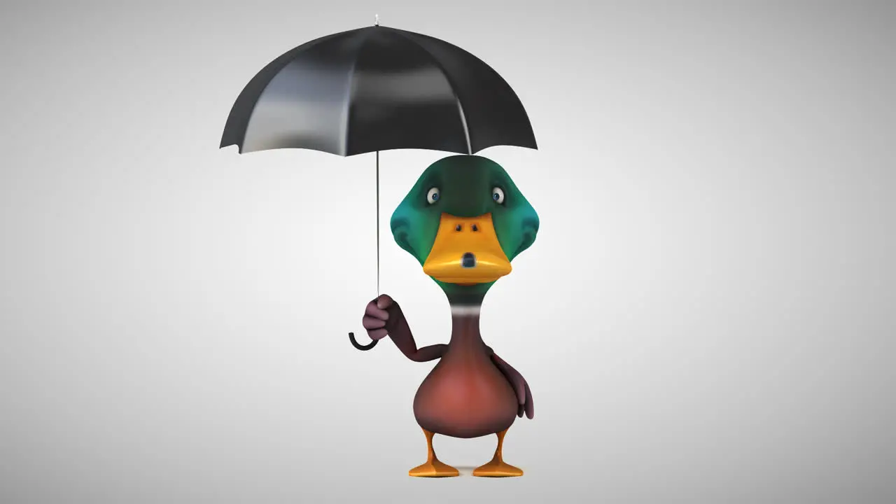 Fun Duck and Umbrella Animation