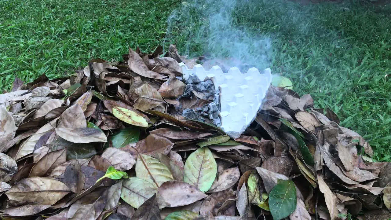 Burning dried leaves and an egg carton box can contribute to air pollution