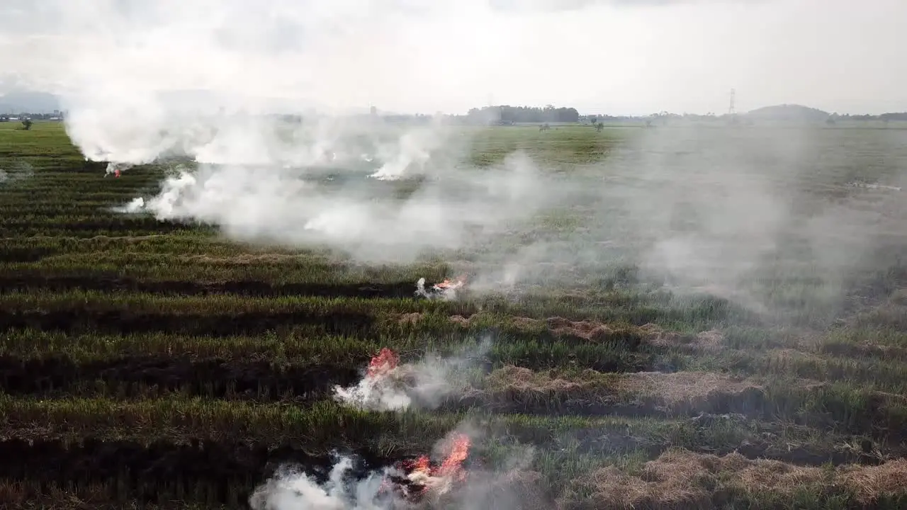 Open fire burn the straw of harvesting at Malays village Southeast Asia