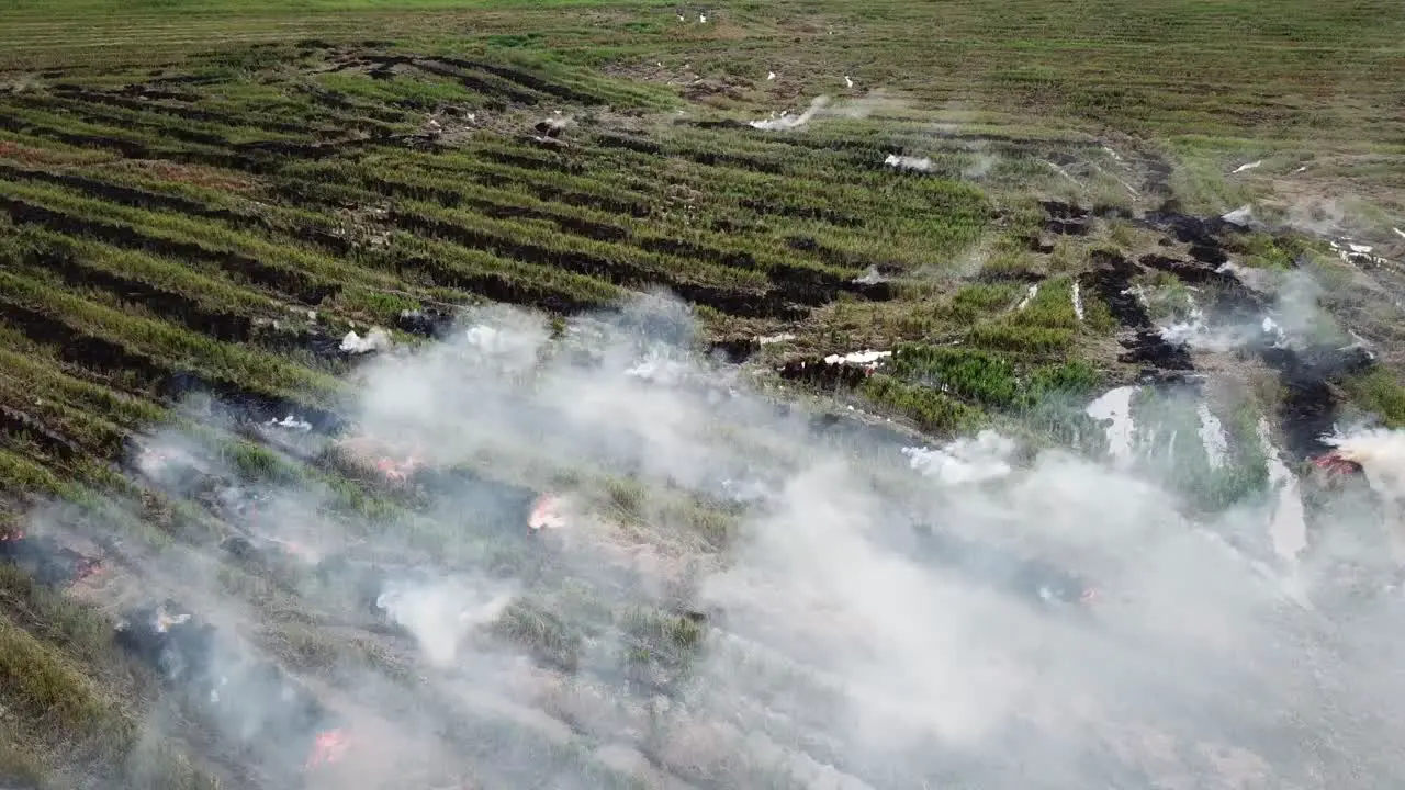 Farmer clear the waste by open fire