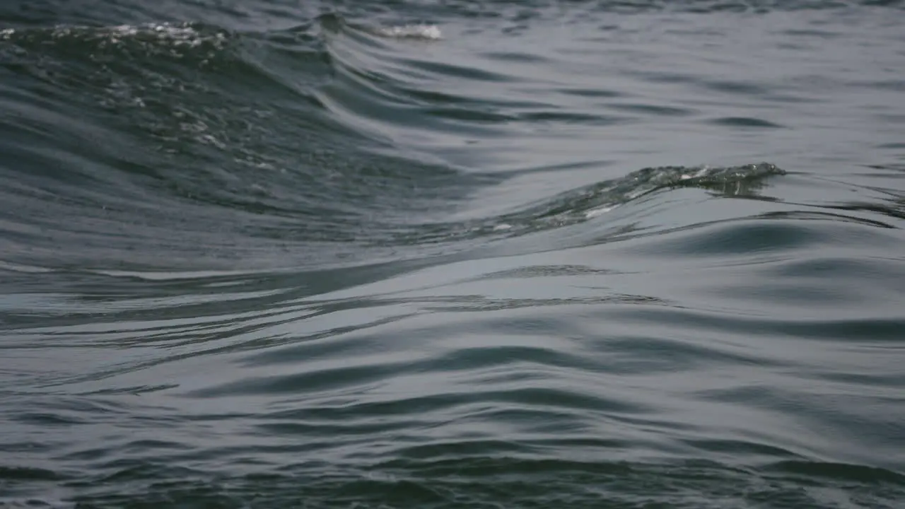 Gentle calming ocean waves in slow motion