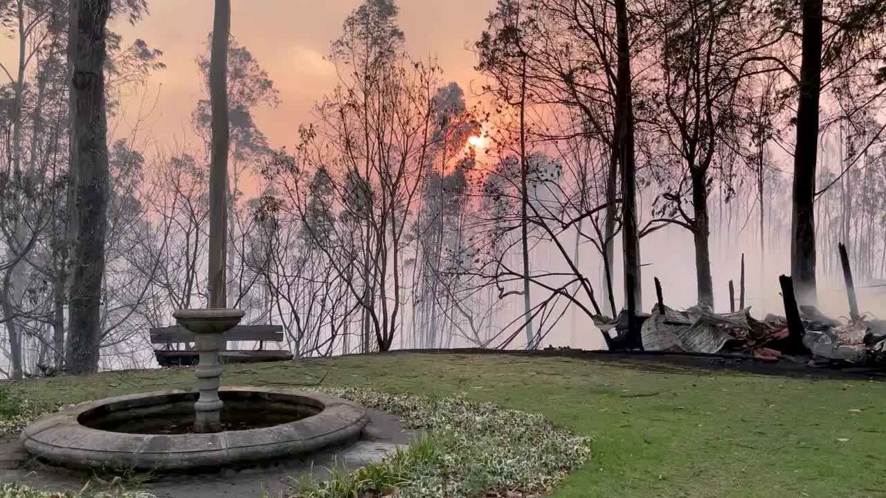 A water sink sits in front of tall trees