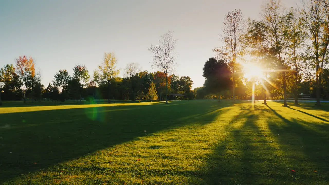 The Rays Of The Sun Shine Through The Branches Of Trees In A Beautiful Autumn Park With A Spacious M