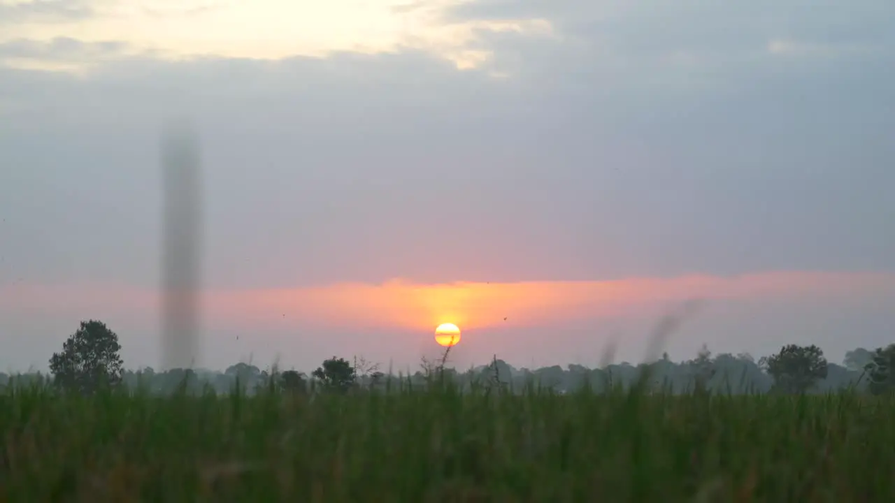 Sunset Over Indonesian Fields