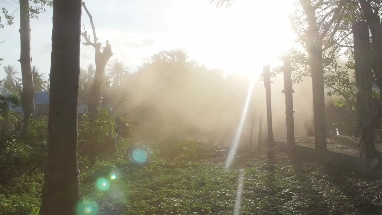 Sunbeams Shining Through Dust Cloud