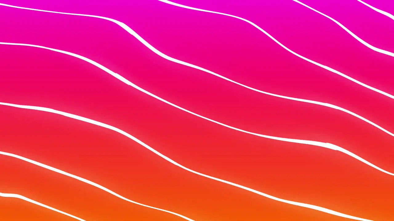 Animation of white lines moving on pink and orange background