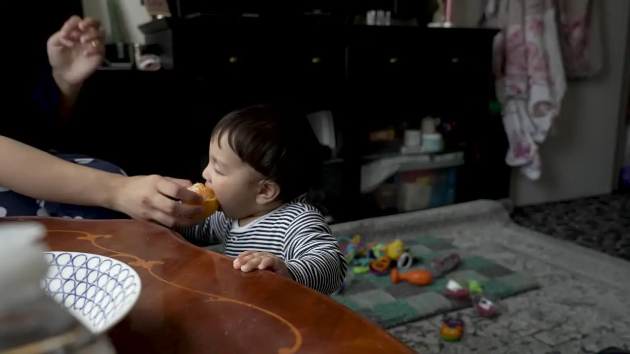 Adorable 8 Month Old Indian Baby Being Fed Orange Held By Mother As He Stands Beside Table Indoors