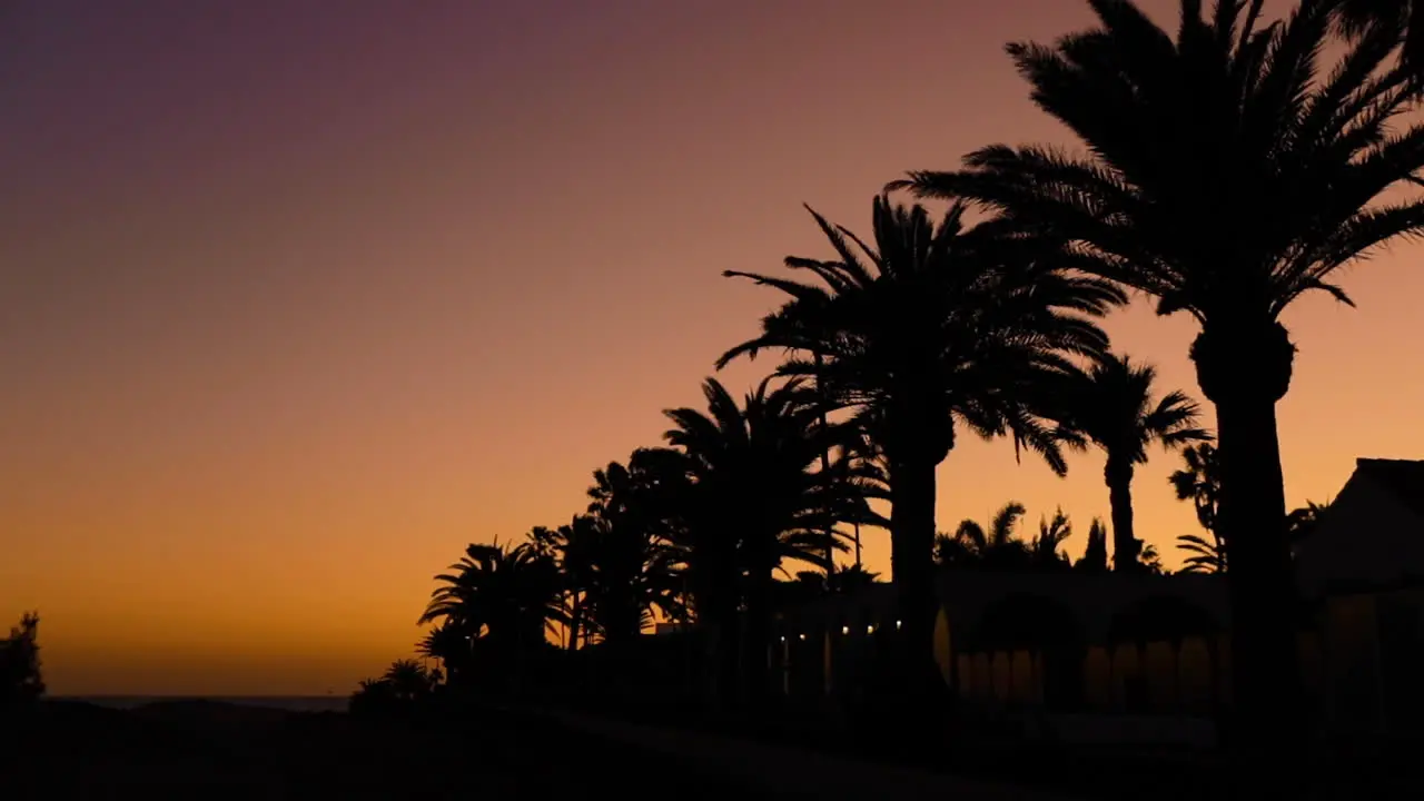 Dark sunset overlooking the ocean and orange sunset and the sand dunes and leaves of the dappled trees moving in strong wind captured in slow motion capture at 120fps