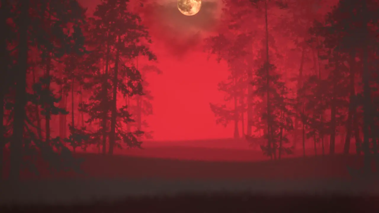 Mystical red moon and forest in night