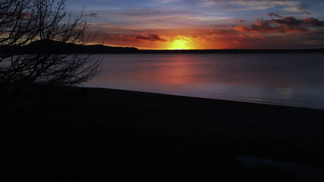 drone slide from tree branches Dusk Dawn from the edge of a large lake Ocean and sea stock videos