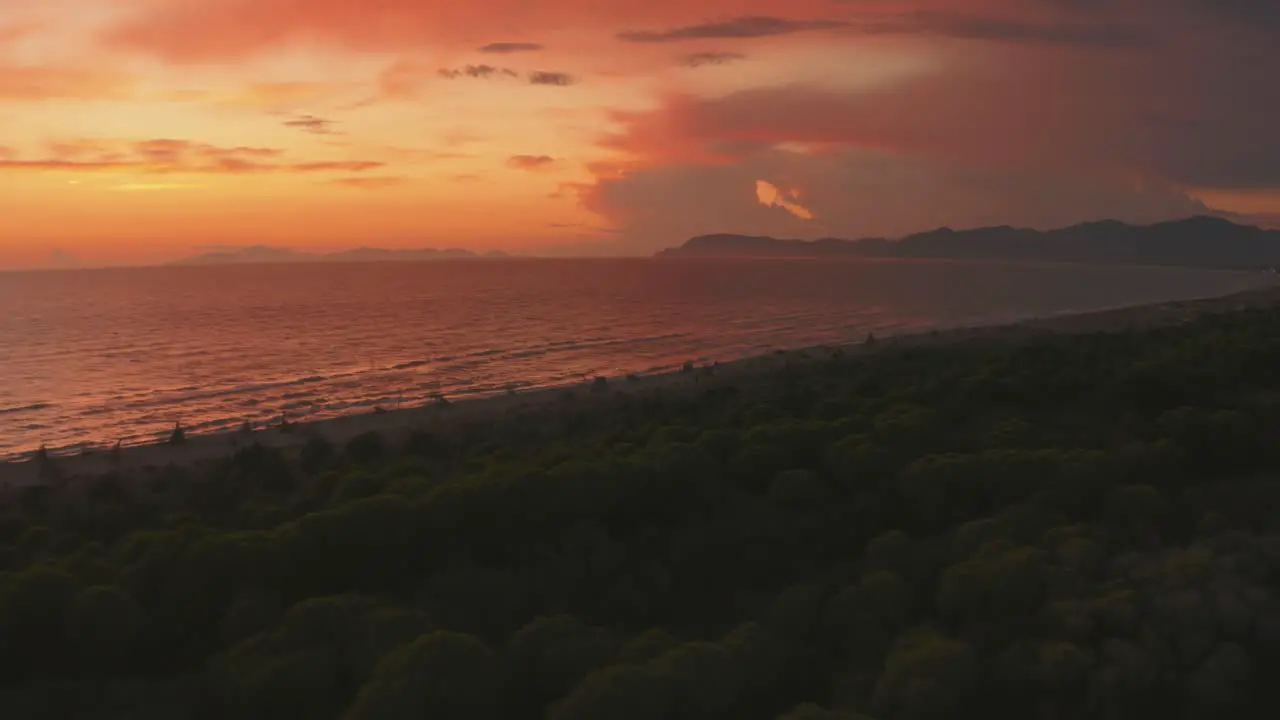 Beautiful aerial anamorphic cinema drone footage of pine tree forest and sandy beach seaside in the iconic Maremma nature park in Tuscany Italy with dramatic clouds covering the sky at sunset