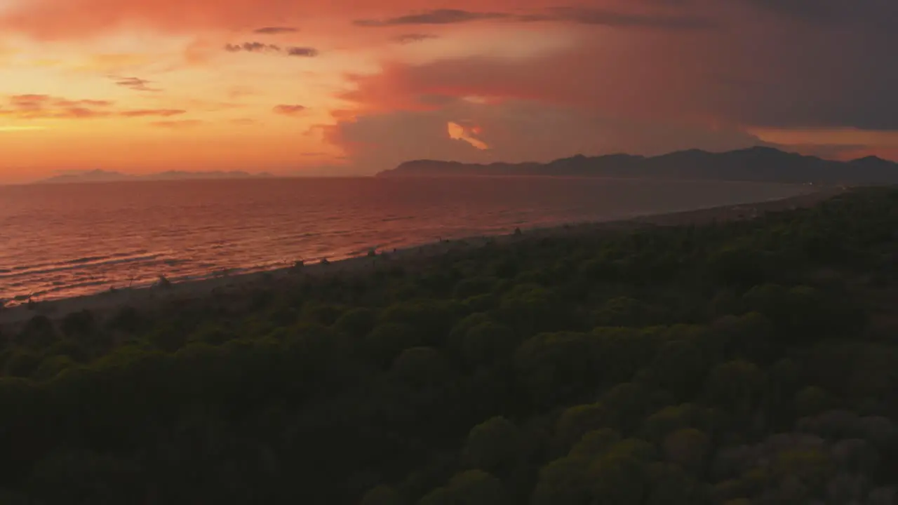 Aerial anamorphic cinema footage of pine tree forest and sandy beach seaside in the iconic Maremma nature park in Tuscany Italy with dramatic clouds covering the sky at sunset facing the island Elba