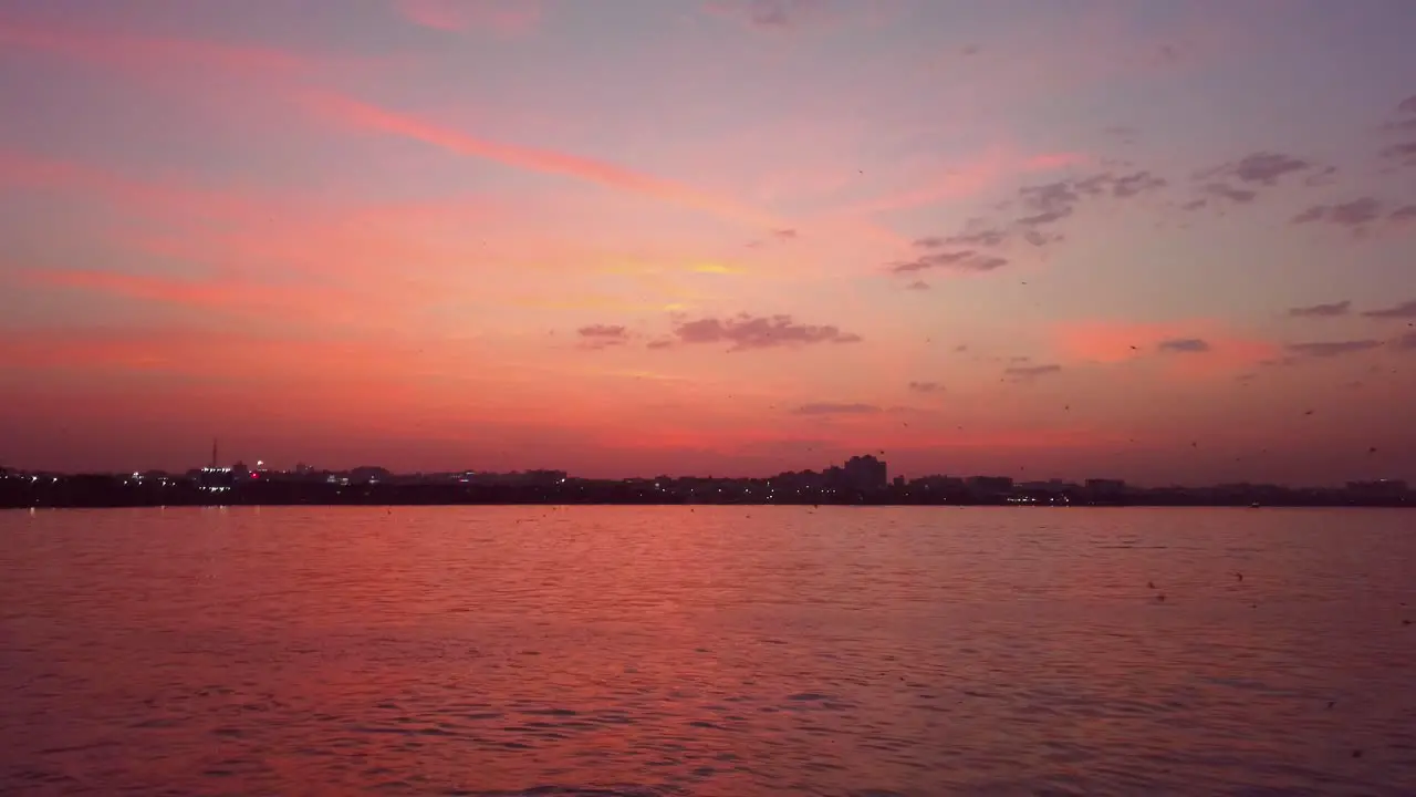 Birds Flying Through Lake During Sunset