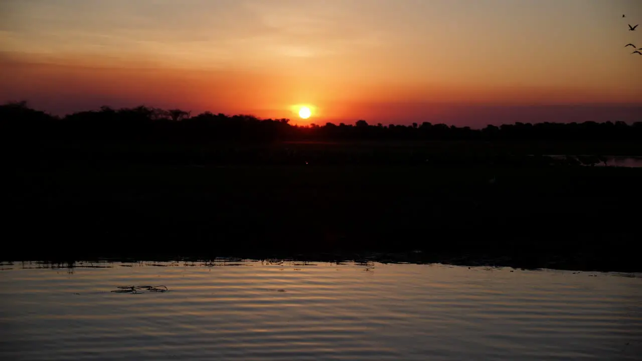 Warm sunset silhouette