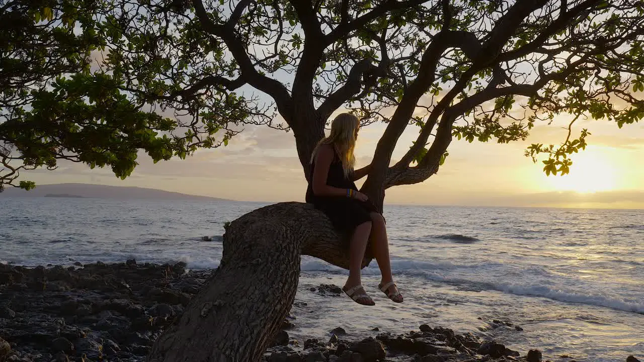 Girl in tree at Sunset Maui Hawaii