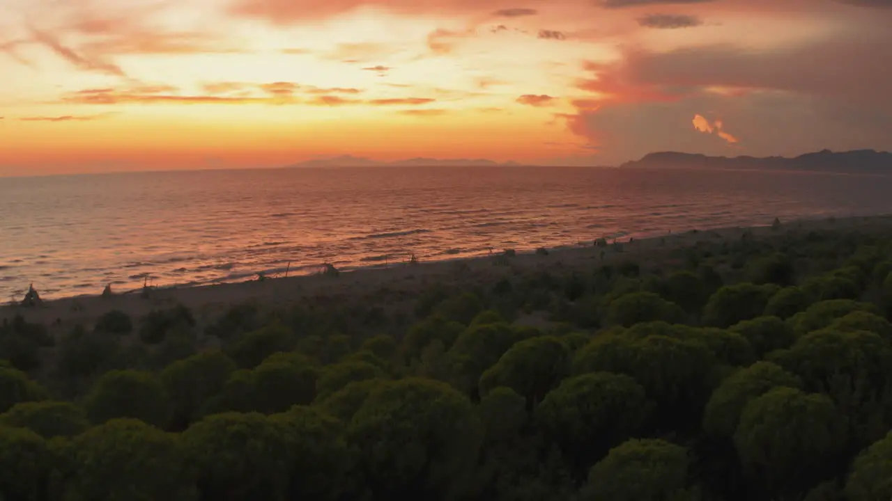 Beautiful aerial anamorphic cinema drone footage of the green pine tree forest and the beach at iconic Maremma nature park close to in Tuscany Italy with dramatic clouds covering the sky at sunset