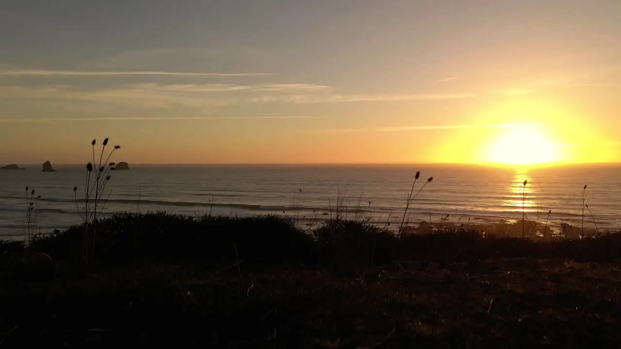 Aerial rising behind silhouetted grass revealing Oregon Pacific Ocean at sunset