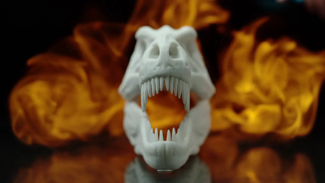 Bleached Dinosaur Fossil Facing Forward With Stylized Flames Behind It