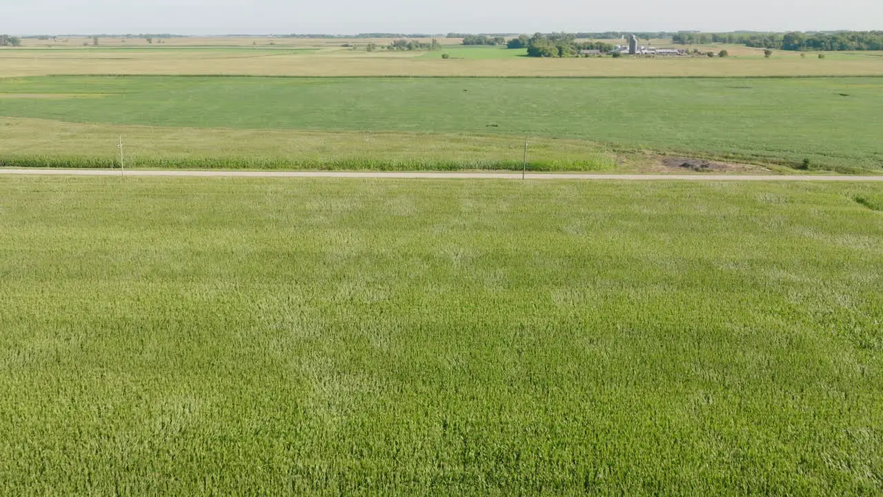 Aerial View of Wind Creating Ripples Through Corn Field in Rural Minnesota