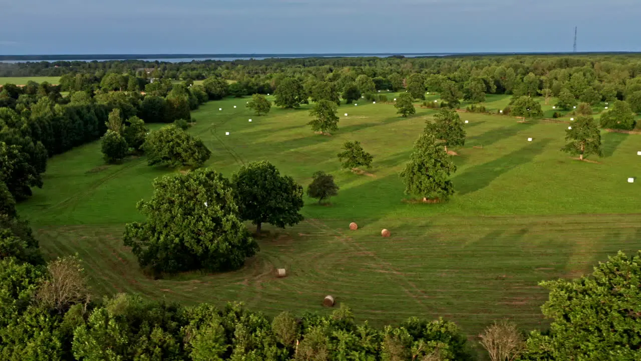 Flying close by a field covered in oak trees