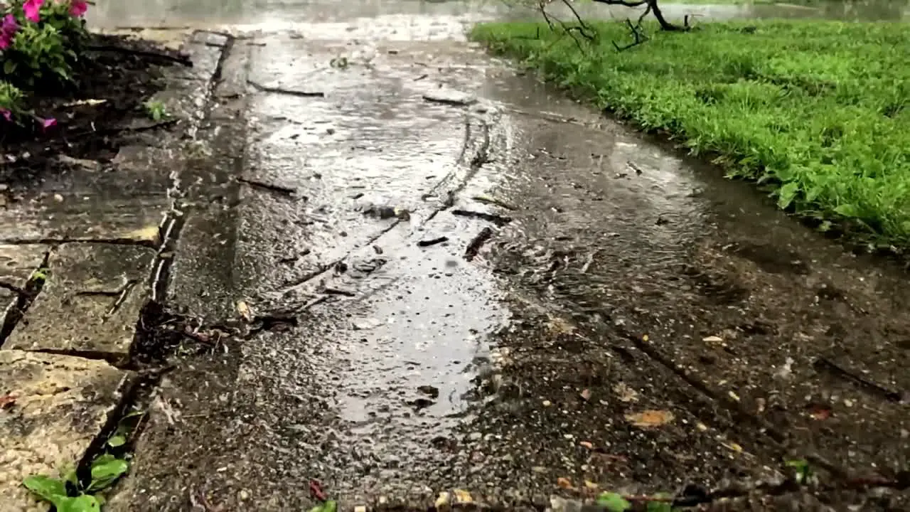 Super Slow Motion Rain Falling On Garden Path