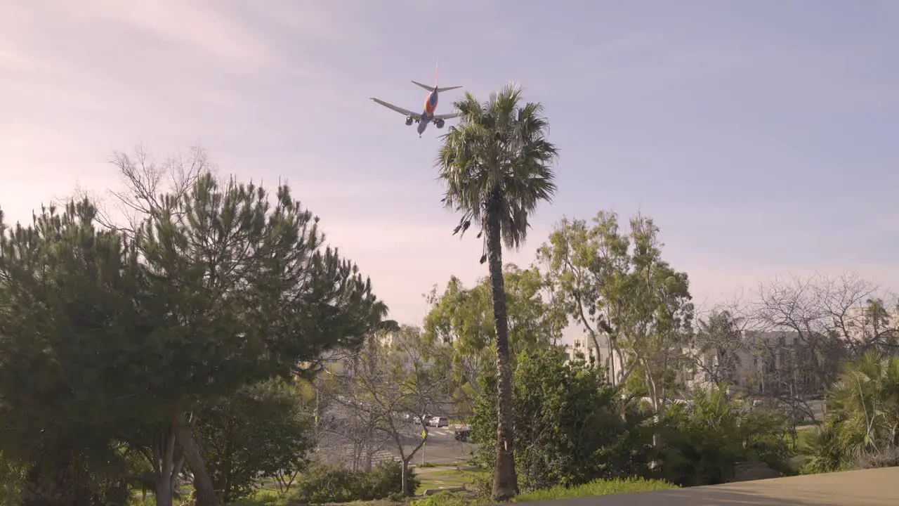 Plane Flying over Palm Tree preparing to Land on Cloudy day in Slow Motion