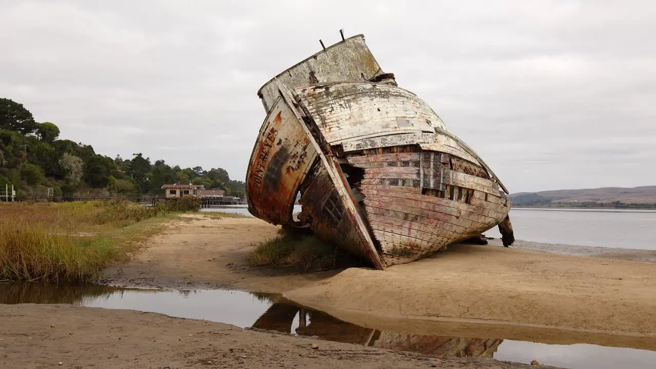 Panning shot of rotting shipwrecked Point Reyes boat washed up on a cloudy marshy Tomales Bay shore