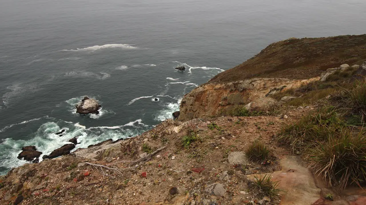 Peering over the edge of a Point Reyes cliff to the rocky shore below