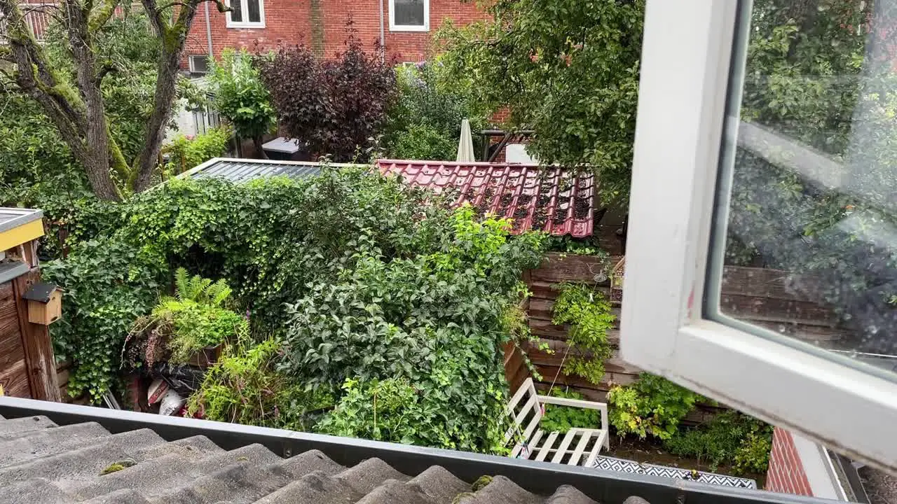 A view from a open window into a small garden on a rainy and chilly summer day