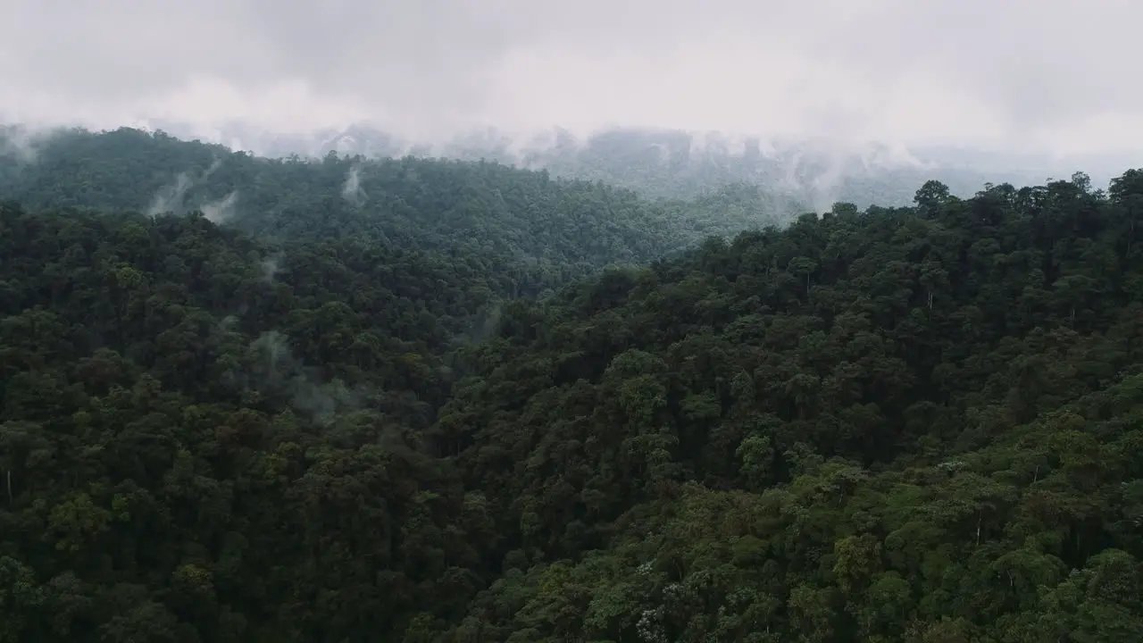 drone shot of the mountains in the choco area in north west area of Ecuador