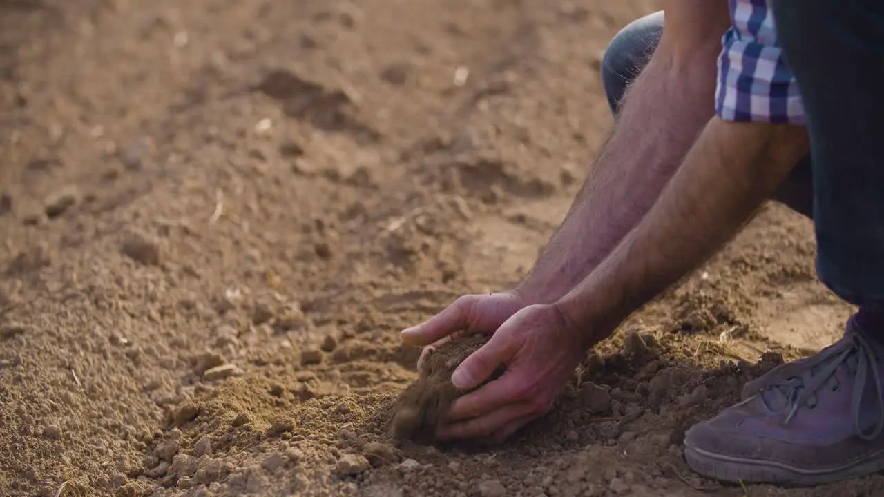 Farmer Hands Holding And Pouring Back Organic Soil 