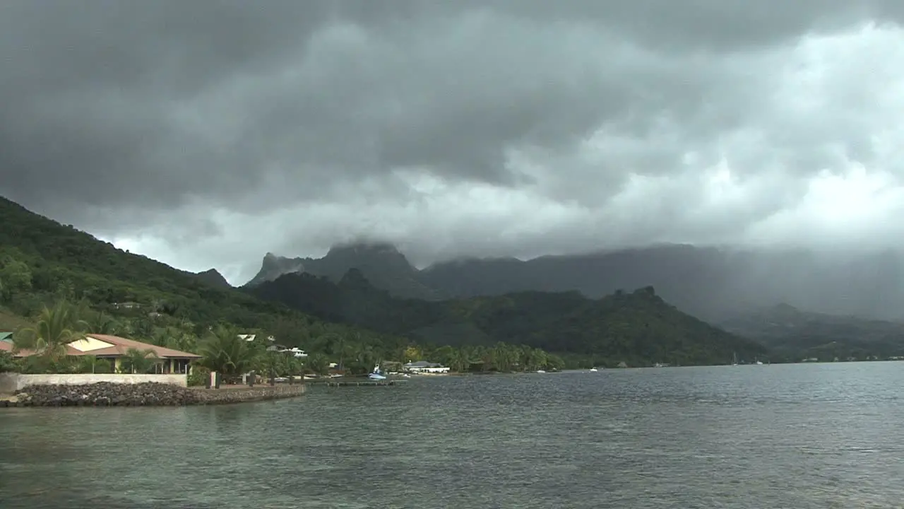 Moorea Cook's Bay with bird