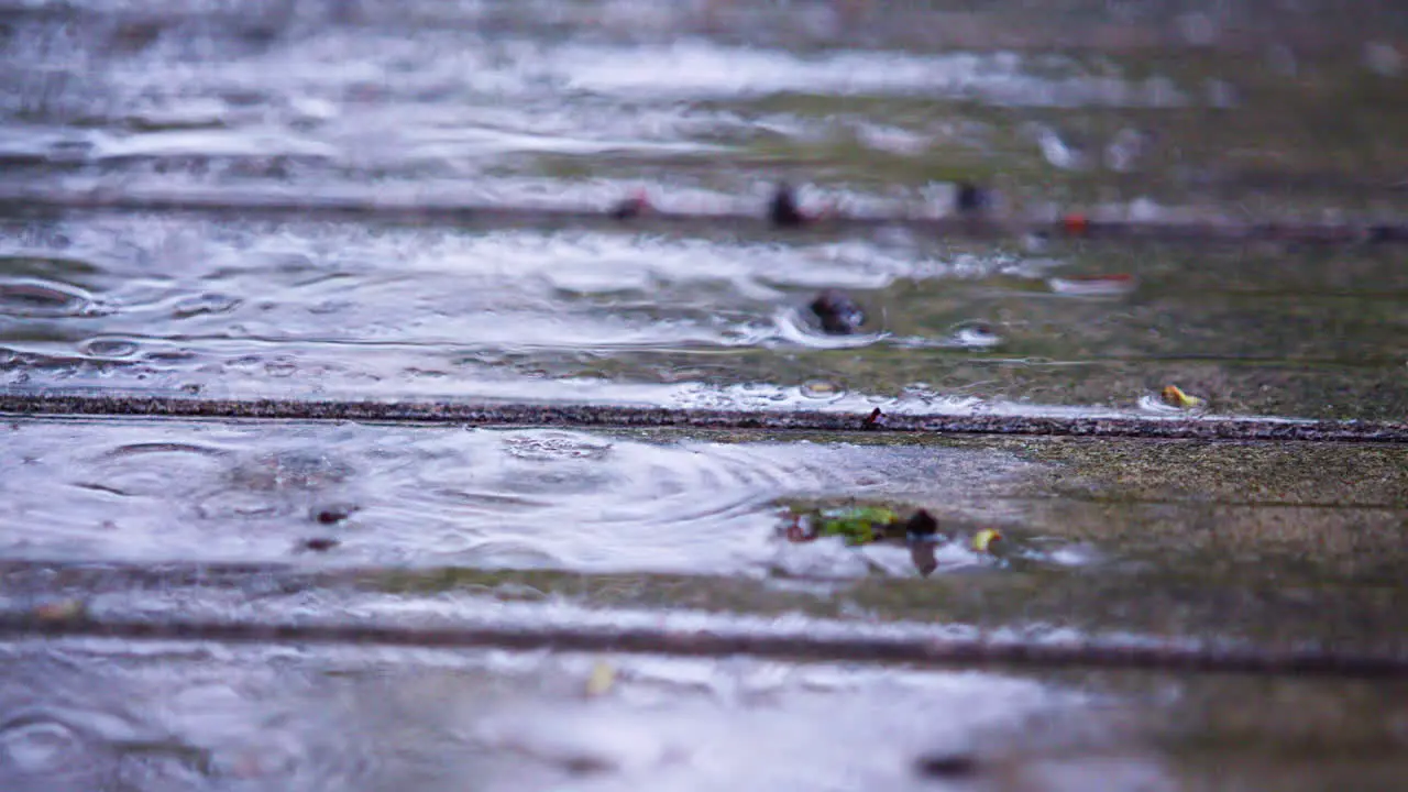 Steady Rain Falling on Deck Close-Up