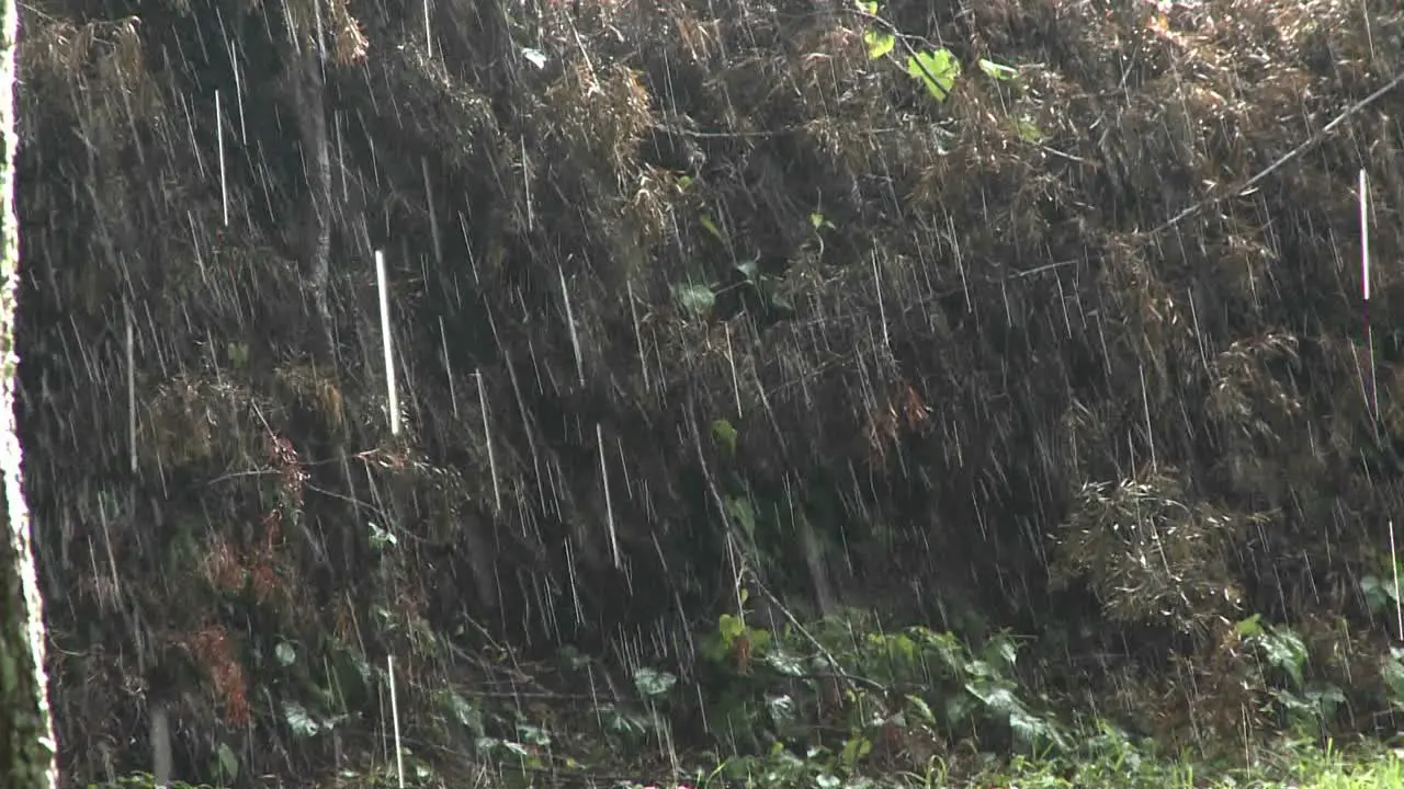 Rain falls heavily during a big storm