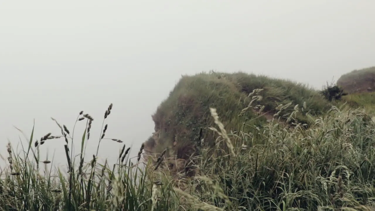 Windy and foggy cliff in normandy